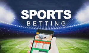 Betting Frequency and Its Effect on Risk Assessment Patterns